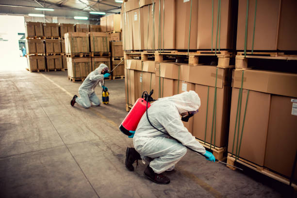 Best Mosquito Control Services  in Blue Rapids, KS