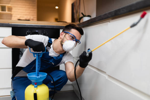 Best Pest Control for Businesses  in Blue Rapids, KS