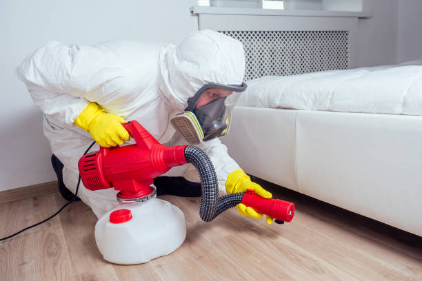 Best Local Pest Control Services  in Blue Rapids, KS