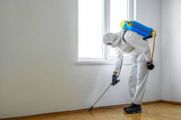 Best Best Pest Control Companies  in Blue Rapids, KS